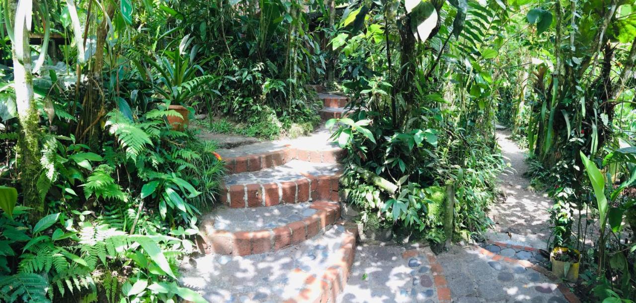 Cabanas Armonia Y Jardin De Orquideas Mindo Extérieur photo