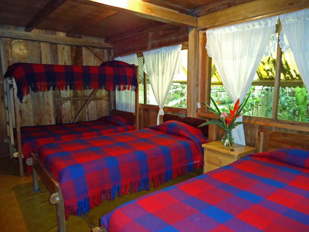 Cabanas Armonia Y Jardin De Orquideas Mindo Chambre photo